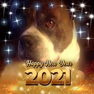 Meet your Posher, Ingalill